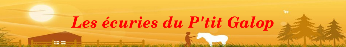Les écuries du P'tit Galop